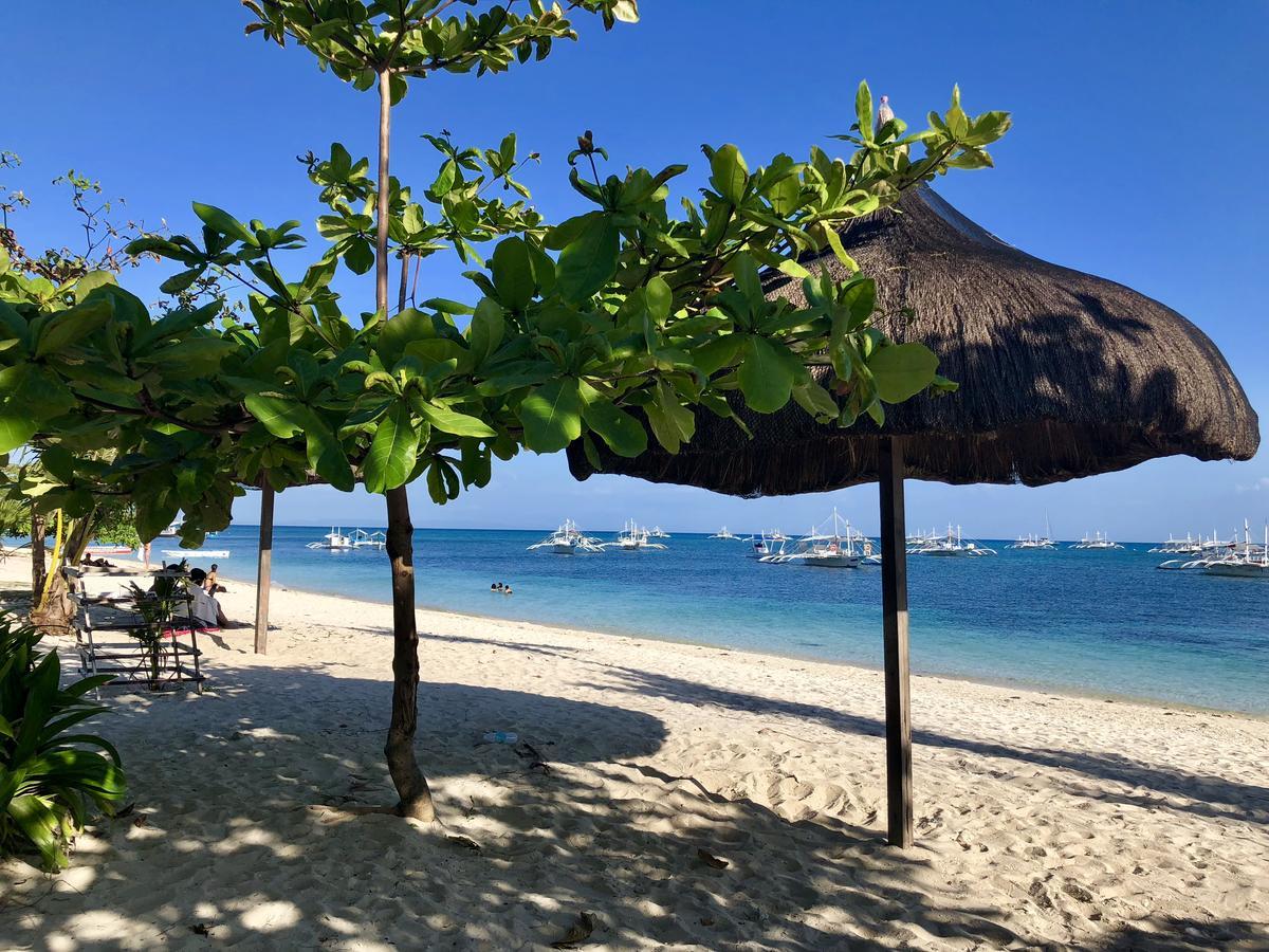 Lionfish Backpackers Malapascua (Adults Only) Hostel ภายนอก รูปภาพ